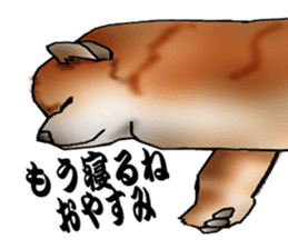 Chow Chow Chinese Edible Dog sticker #10725618