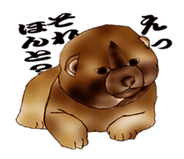 Chow Chow Chinese Edible Dog sticker #10725620