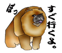 Chow Chow Chinese Edible Dog sticker #10725623