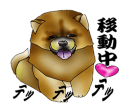 Chow Chow Chinese Edible Dog sticker #10725625