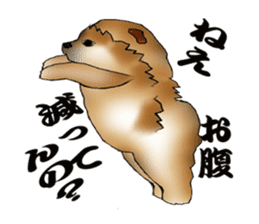 Chow Chow Chinese Edible Dog sticker #10725628