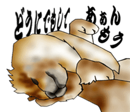 Chow Chow Chinese Edible Dog sticker #10725633