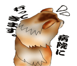 Chow Chow Chinese Edible Dog sticker #10725634