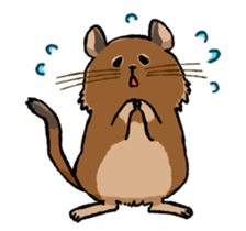 Mr.Degu sticker #10725846