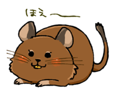Mr.Degu sticker #10725847