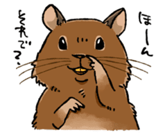 Mr.Degu sticker #10725854