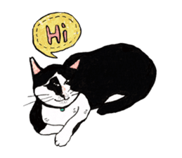 Slum Cat Illustration sticker #10726484