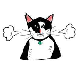 Slum Cat Illustration sticker #10726498