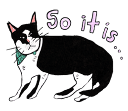 Slum Cat Illustration sticker #10726504
