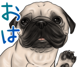 otyamena Pug and Bulldog sticker #10728320