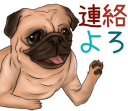 otyamena Pug and Bulldog sticker #10728321