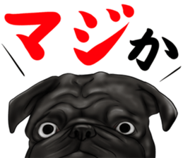 otyamena Pug and Bulldog sticker #10728322