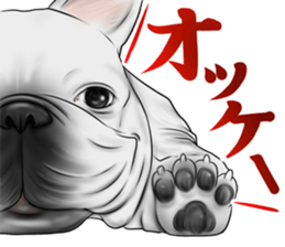 otyamena Pug and Bulldog sticker #10728324