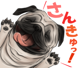 otyamena Pug and Bulldog sticker #10728326
