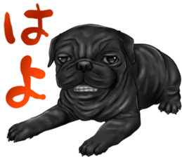 otyamena Pug and Bulldog sticker #10728330