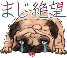 otyamena Pug and Bulldog sticker #10728331