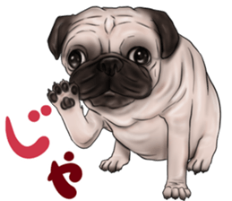 otyamena Pug and Bulldog sticker #10728332