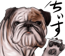 otyamena Pug and Bulldog sticker #10728335