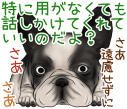 otyamena Pug and Bulldog sticker #10728336