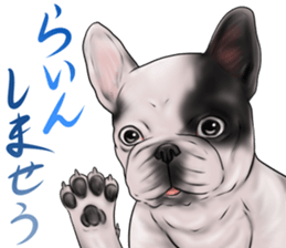 otyamena Pug and Bulldog sticker #10728337