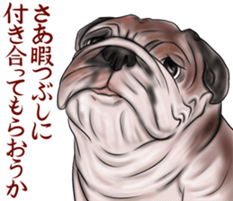 otyamena Pug and Bulldog sticker #10728338