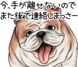 otyamena Pug and Bulldog sticker #10728339