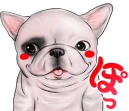 otyamena Pug and Bulldog sticker #10728347