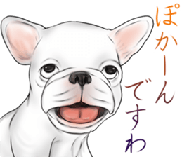 otyamena Pug and Bulldog sticker #10728348