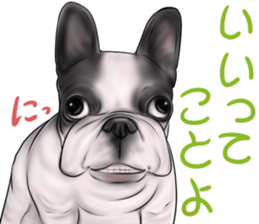 otyamena Pug and Bulldog sticker #10728349