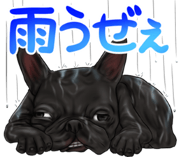 otyamena Pug and Bulldog sticker #10728350