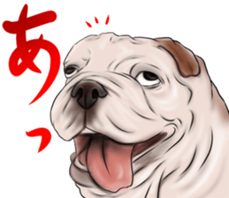 otyamena Pug and Bulldog sticker #10728354