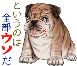 otyamena Pug and Bulldog sticker #10728355