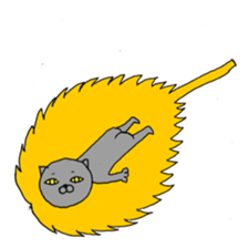 Wild-cats sticker #10729514