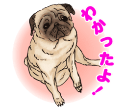 Shacho-kun sticker #10732796