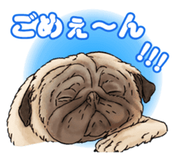 Shacho-kun sticker #10732798