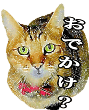 balzo-waruyama 2 sticker #10733882