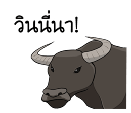 Sticker for WIN sticker #10733986