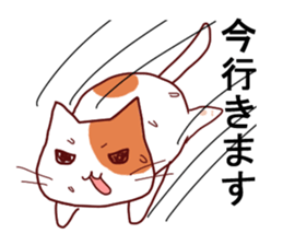 cat loves Tamasujisakana sticker #10734514