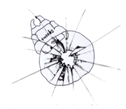 My name is aco!3 sticker #10734653