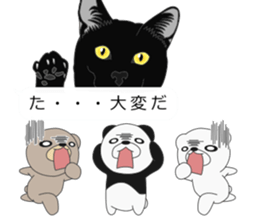 I attach bears to the message sticker #10734885