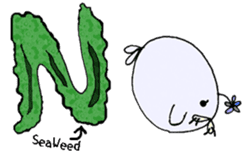 BUT I'm a SEAL *BASIC* sticker #10736457