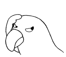 talking parrot sticker #10737304