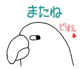 talking parrot sticker #10737326