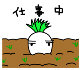 LIFE OF JAPANESE RADISH sticker #10738317