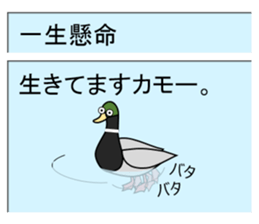 Mail Form 3 sticker #10738732