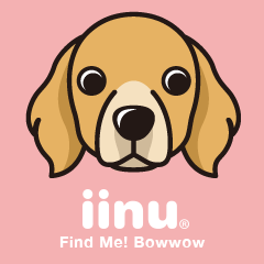 iinu - Golden Retriever