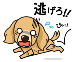 iinu - Golden Retriever sticker #10740902