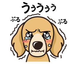 iinu - Golden Retriever sticker #10740904