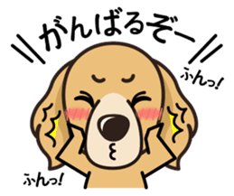 iinu - Golden Retriever sticker #10740919