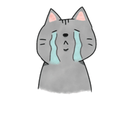 cat of 3 main line sticker #10741873